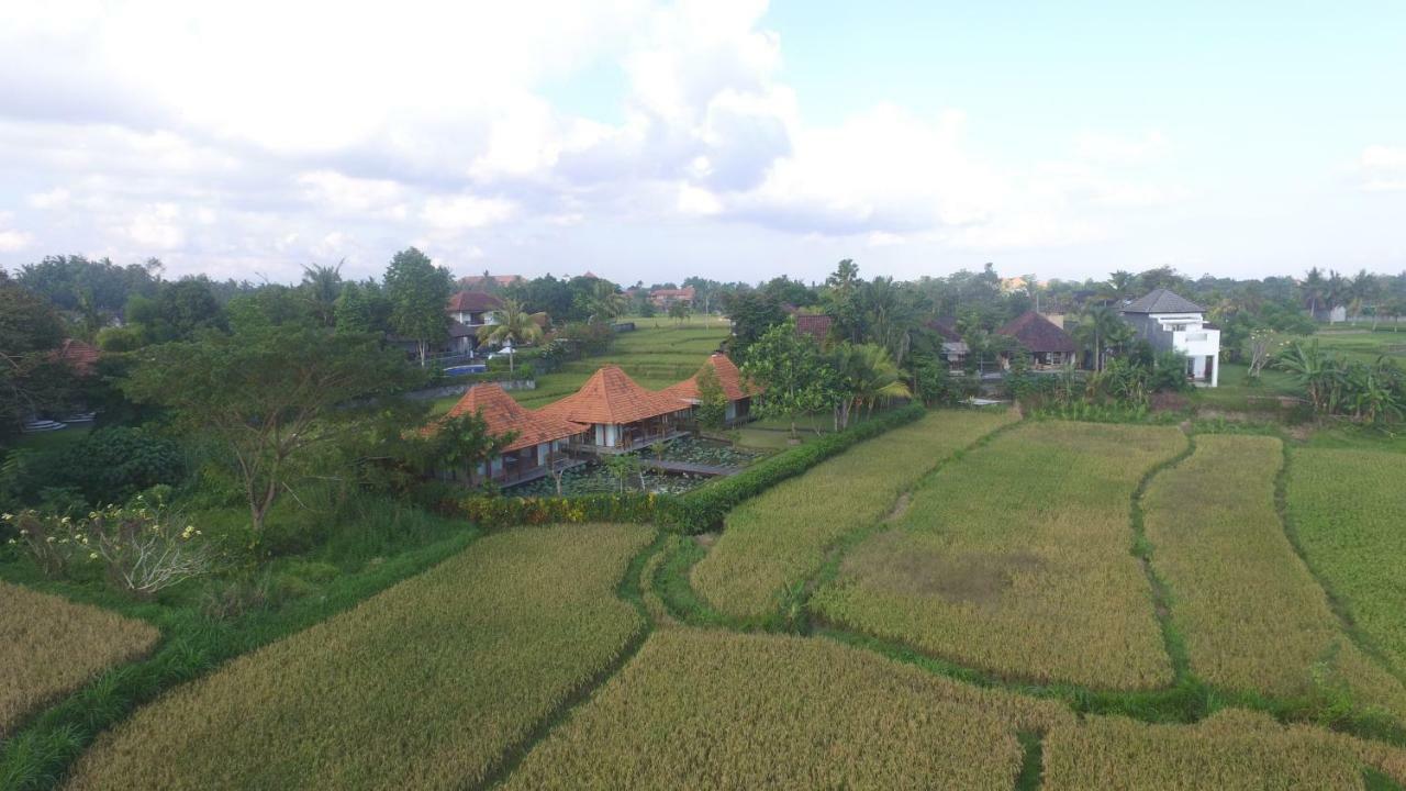 Griya Kcb Villa Ubud Mas  Buitenkant foto