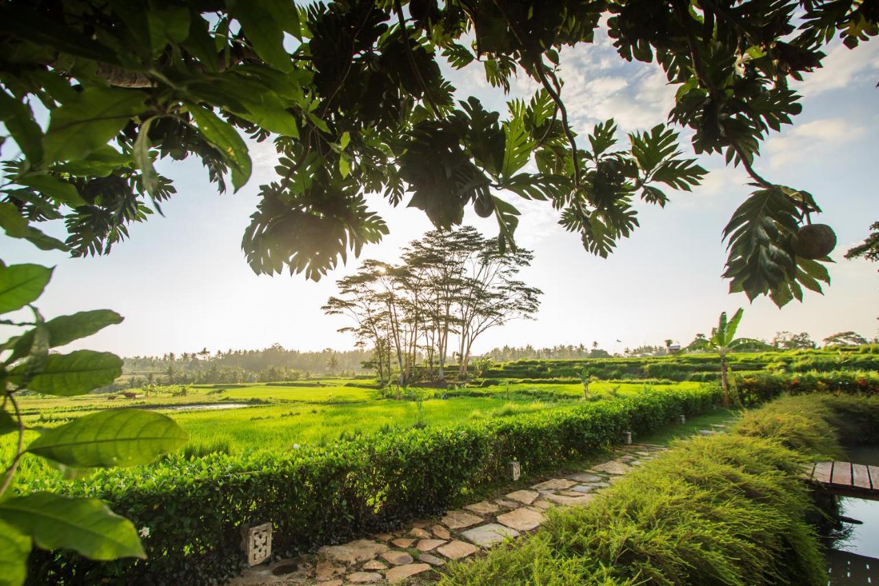 Griya Kcb Villa Ubud Mas  Buitenkant foto