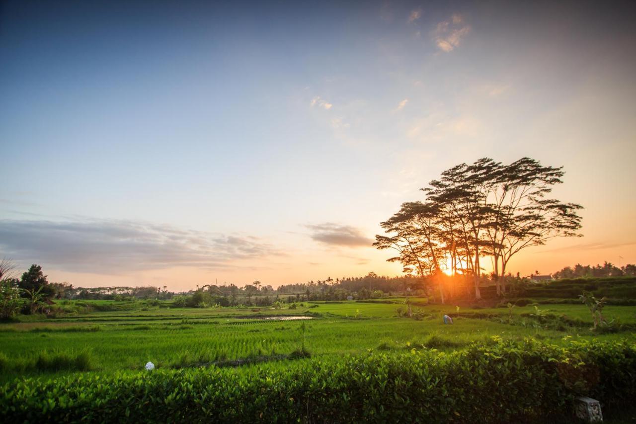 Griya Kcb Villa Ubud Mas  Buitenkant foto