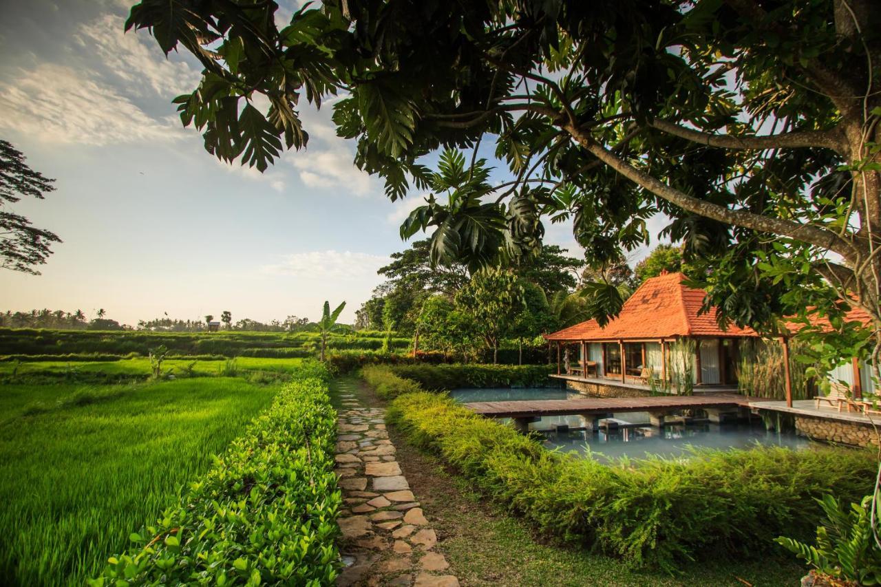 Griya Kcb Villa Ubud Mas  Buitenkant foto