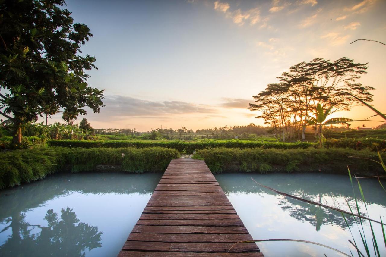 Griya Kcb Villa Ubud Mas  Buitenkant foto